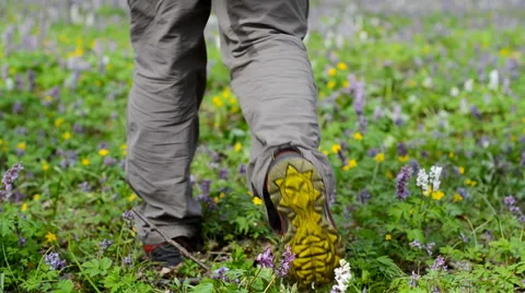 Man walking on forest trail. Followfocus. Stock Footage 63119294