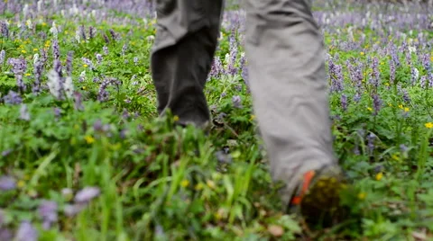 Man walking on forest trail. Stock Footage 63111852