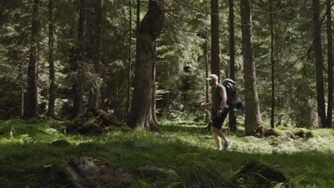 Man walking in forest woods with backpack in Stock Footage 250314231