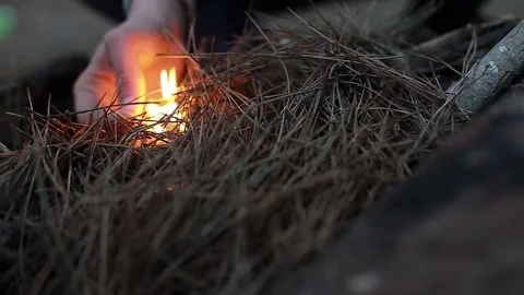 A man walking in the forests and builds a fire Stock Footage 75409916