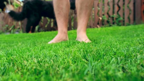 Man walking on freshly cut grass and scratches leg to leg. Stock Footage 197322558