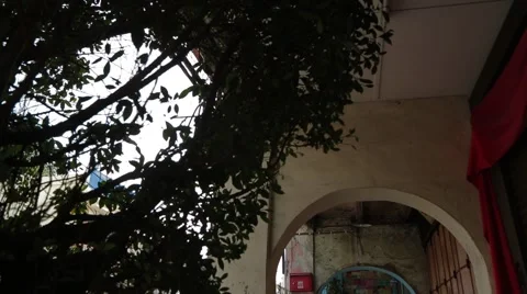 Man Walking In Front of An Old Shop Building in Georgetown, Penang Stock Footage 48139533
