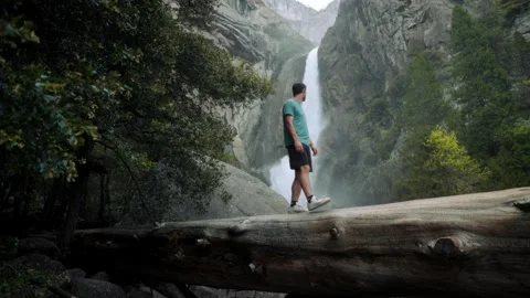 Man walking in front of Yosemite falls over a downed tree. Stock-Footage 308669125