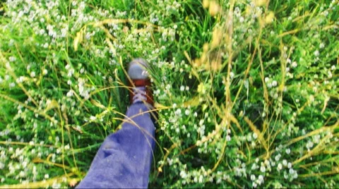 Man walking in grass Stock Footage 52191650