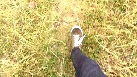 Man walking on grass Stock Footage 78507363