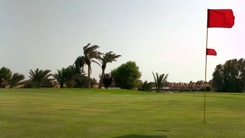 Man walking with a grass mower in the golf course Stock Footage 81230623