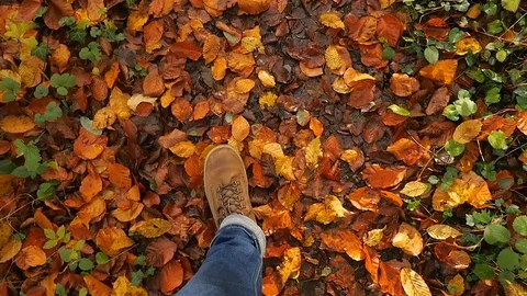 Man walking on a ground covered with leaves Stock Footage 82624293