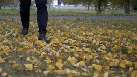 Man walking on ground covered with yellow fallen leaves during autumn season. Stock Footage 80986269
