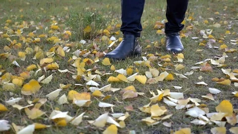 Man walking on ground covered with yellow fallen leaves during autumn season. Stock Footage 80987658