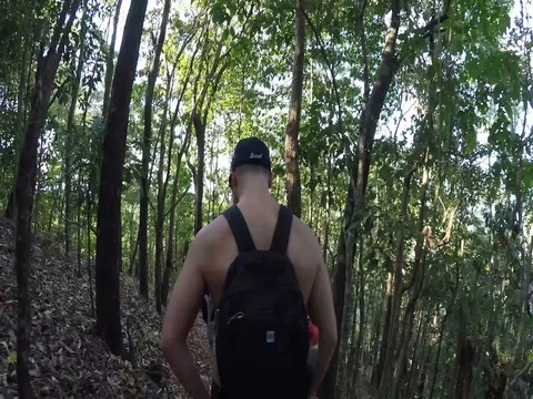 Man walking hiking through forest on a sunny day Stock Footage 84227040