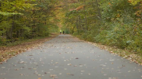 Man walking his dog down nature trail Stock Footage 34452546