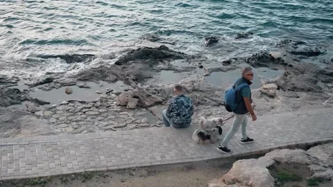 Man Walking His Dog Stock Footage 233290458