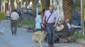 Man walking his dog in the park in Barcelona 4k or 4k+ Resolution