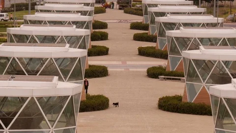 Man walking his dog in Parque Felipe VI in  in Logroño, La Rioja, Spain. Stock Footage 97943829