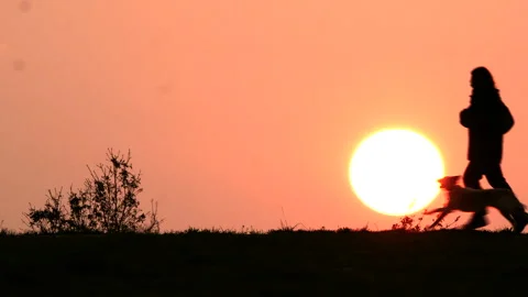 Man walking his dog at sunset Stock Footage 128548837