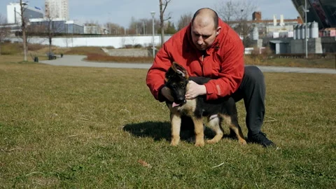 A man walking with his german shepherd dog on the training field.Slow motion Stock-Footage 128604144