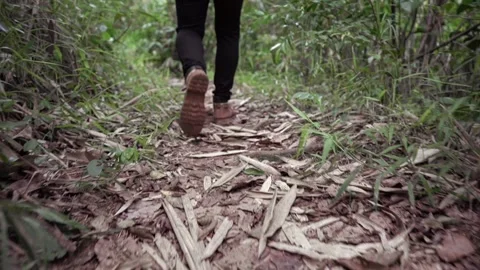 Man walking in the jungle Stock Footage 157259079
