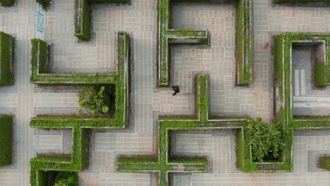 Man walking in a Labyrinth view from above Stock Footage 196930680