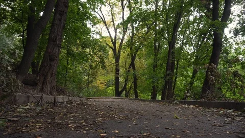 Man walking in a lane with the sunlight breaking through the trees. Stock Footage 95551216
