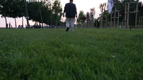 Man walking on lawn Stock Footage 168537014