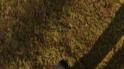 Man walking legs in forest motion Stock Footage 48883390