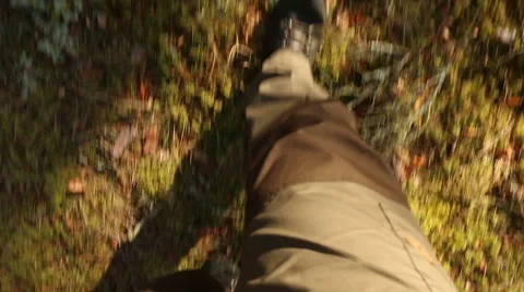 Man walking legs in forest motion Stock Footage 48883444