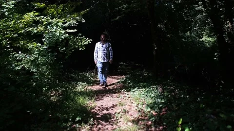 Man walking in light beam forest Stock Footage 183649216