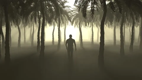 Man walking to the light through the palm trees, looped. Stock Footage 302287955
