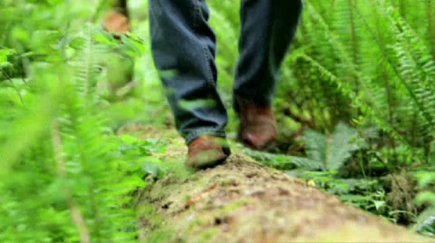 Man walking on log Stock Footage 25673519