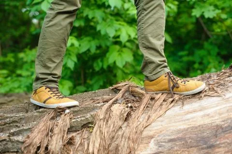 Man walking on a log Stock Photos