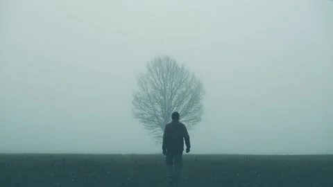 Man walking to lonely tree in heavy fog. Mist covered field. Stock Footage 221411191