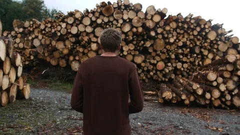 Man Walking in Lumberyard Stock Footage 96530149