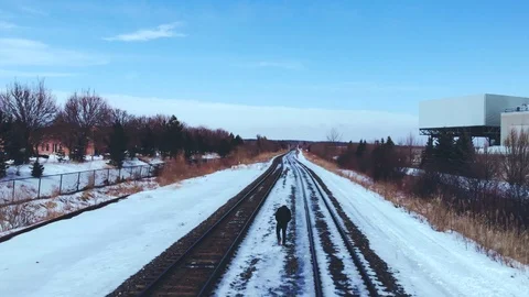 Man Walking In Middle of Train Tracks on a Snow Filled Winter Day (60fps) Stock Footage 104047509