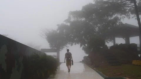 A man walking into the misty forest Stockbeeldmateriaal 92936485