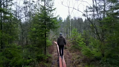 A man walking in nature Stockbeeldmateriaal 236680592