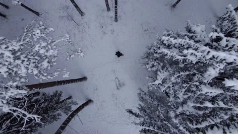 Man walking north snowy forest winter day landscape snowfall topdown takeoff Stock Footage 146297548