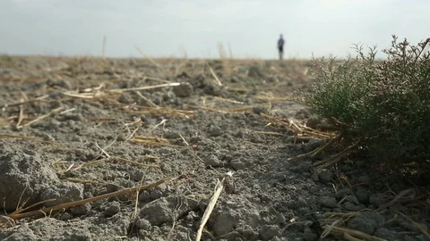 Man walking to nowhere, lost man Stock Footage 119907170