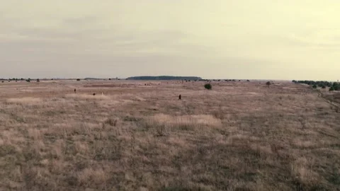 A man walking in open landscape. Group of people are walking aroung behind him Stock Footage 169293793