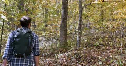 Man walking out into the woods alone by himself with a small backpack Video stock 102337620