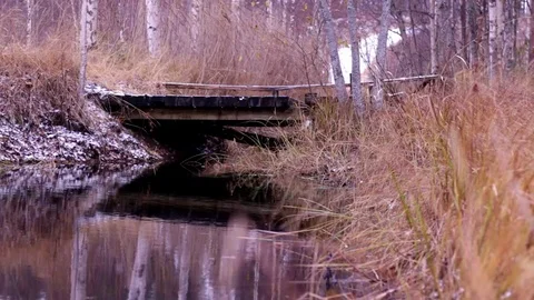 Man walking over a bridge over a ditch in autumn Stock Footage 70174840