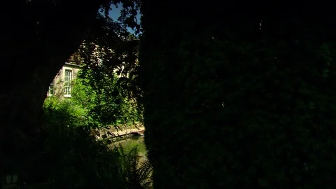 Man walking over small bridge and along footpath surrounded by trees and stream Video stock 95604863
