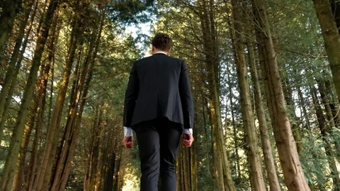 Man walking in park and looking away, in the background a forest Stock Footage 89343866