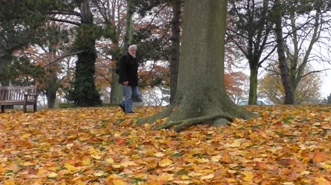 Man walking in park in Autumn Video stock 44307639