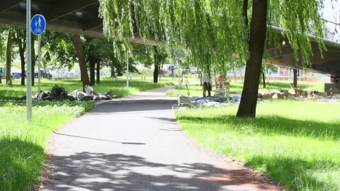 A man is walking in the park. Cyclists are passing by. Vídeos de archivo 77435388
