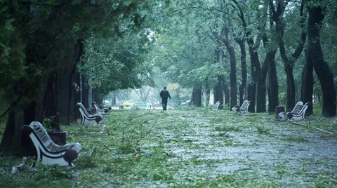 Man Walking In The Park During Stormy Dangerous Weather Slow Motion Stock Footage 68672909