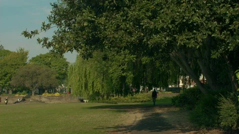 Man Walking in The Park Stock Footage 76105254