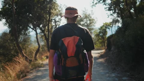 Man walking in park, hiker adventurer enjoys hiking a scenic trail near majestic Stock Footage 288116471