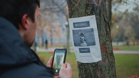Man walking in park saw message on tree about missing dog, takes photo on his Stock Footage 287591068