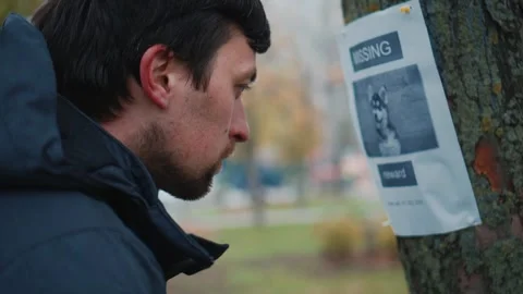 Man walking in park saw message on tree about missing dog, takes photo on his Stock Footage 319022731