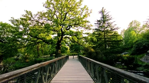 Man walking in a park at sunset Vidéo 50389897